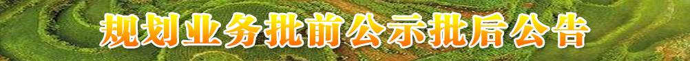 規(guī)劃業(yè)務批前公示批后公告