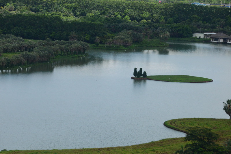 AA1_9775.JPG