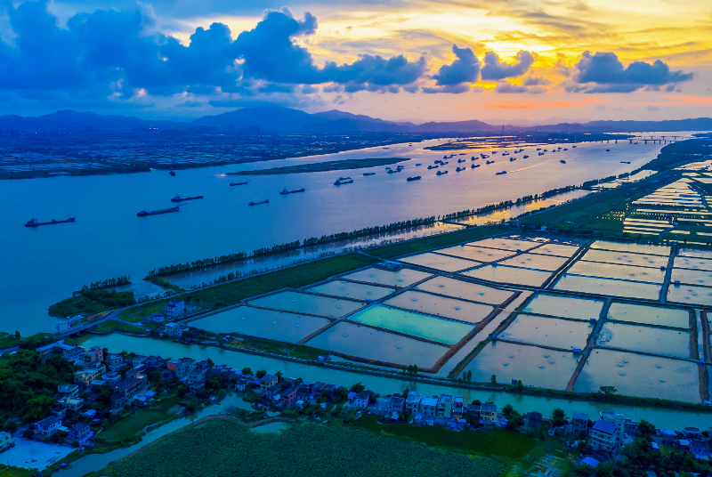 中珠聯(lián)圍海堤.jpg