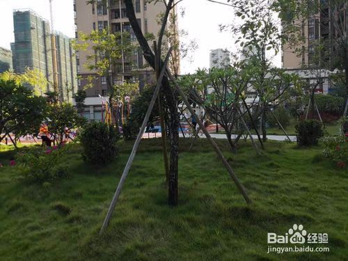 中山三角兒童公園有什么好玩的？