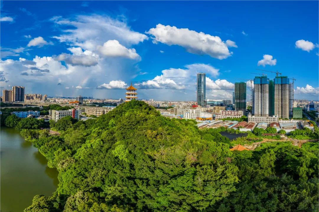 郭文海：堅定不移強(qiáng)力推進(jìn)“工改”“治水”兩大攻堅戰(zhàn)，直到完全勝利3.jpeg