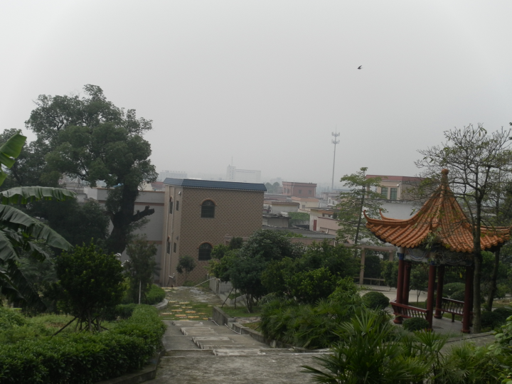 鎮(zhèn)一村古樹公園.JPG
