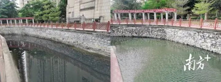 已編輯圖片