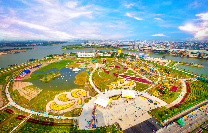 小欖鎮(zhèn)，《2016年小欖菊花會(huì)全景》，地點(diǎn)：小欖菊花園，時(shí)間：2016.11.20，拍攝者：陳健鴻.jpg
