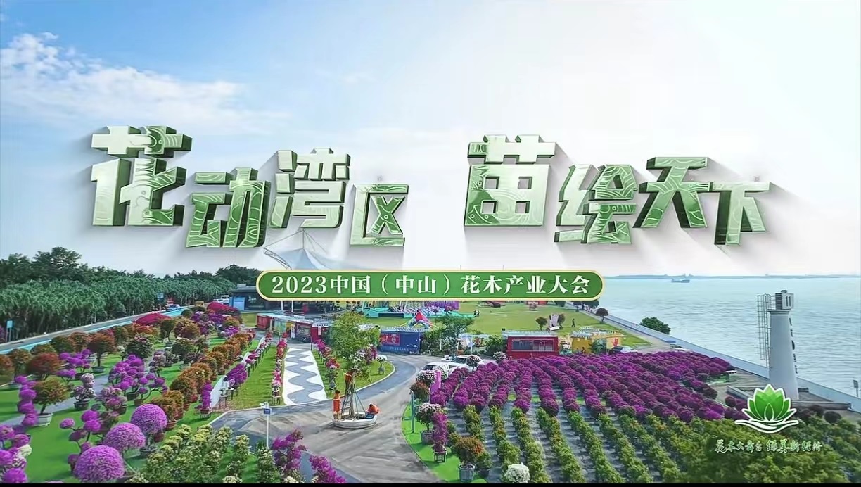 花動灣區(qū)