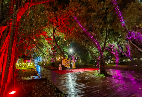 郭文海：因地制宜發(fā)展夜經(jīng)濟(jì) 打造更多聚人氣促消費(fèi)的新業(yè)態(tài)新場景1.png