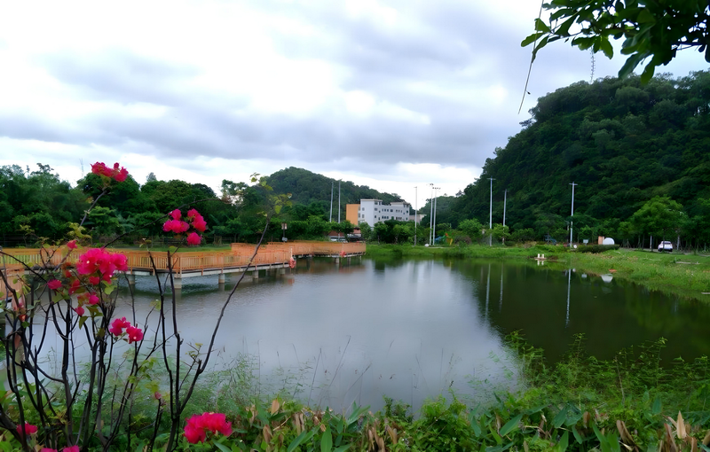 鯉魚(yú)山003.png