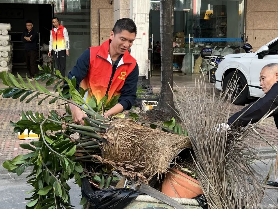 圖片