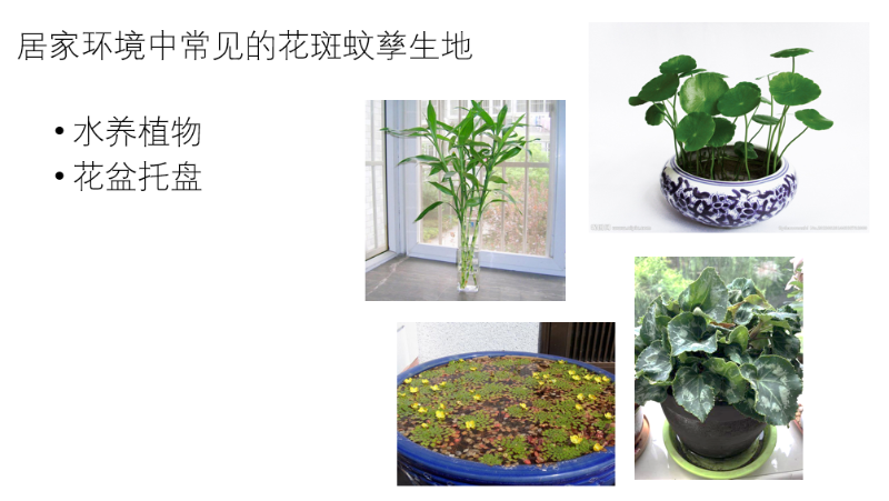 圖片4.png