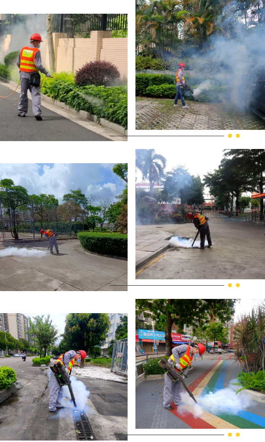 預(yù)防登革熱，港口在行動2.png